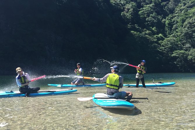 [Recommended on Arrival Date or Before Leaving! ] Relaxing and Relaxing Water Walk Awakawa River SUP [Half Afternoon Tour] - Accessibility