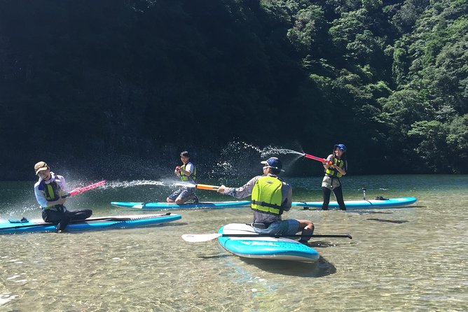 [Recommended on Arrival Date or Before Leaving!] Relaxing Water Walk on the Awakawa River With Stand up Paddleboard (Sup) [Half-Day Tour] - Inclusions and Exclusions