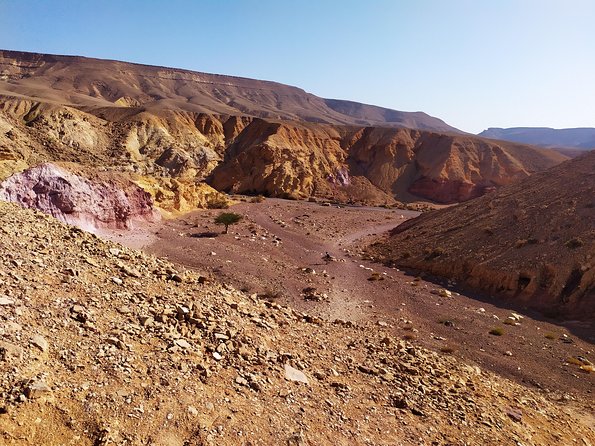 Red Canyon Jeep Tour in Eilat - Infant Accommodations