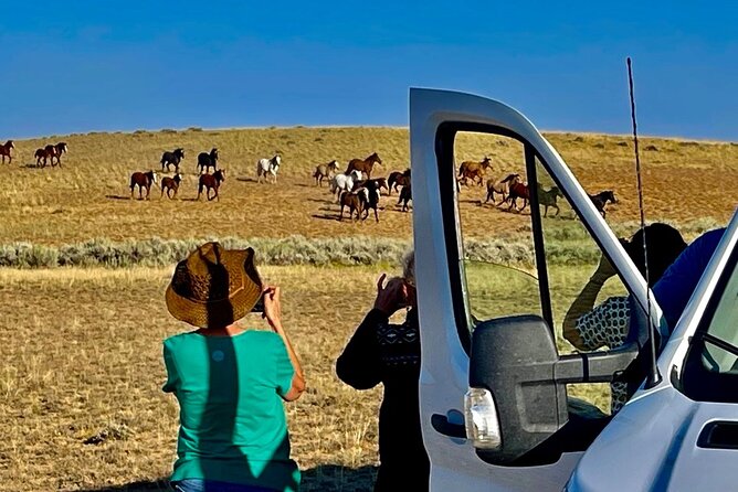 Red Canyon Small Group Wild Mustang Van Tours in Cody Wyoming - Tour Logistics and Accessibility