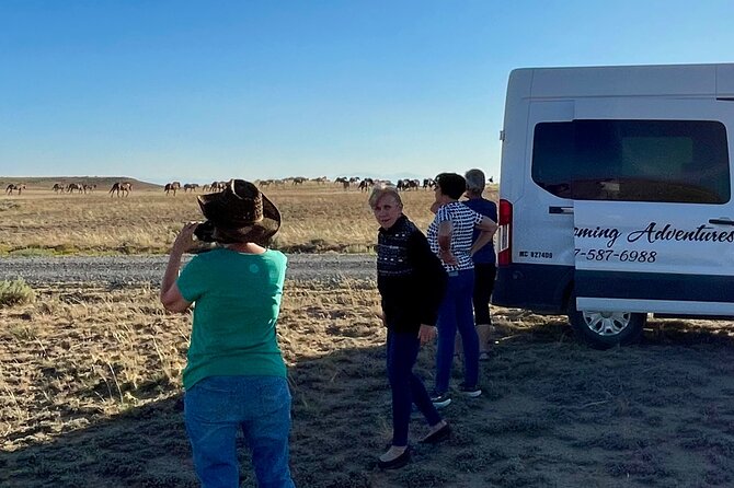 Red Canyon Small Group Wild Mustang Van Tours in Cody Wyoming - Promoting Responsible Wildlife Viewing