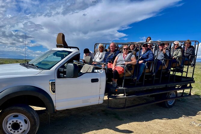 Red Canyon Wild Mustang Safari Truck Tours In Cody Wyoming! - Tour Details and Pricing Information