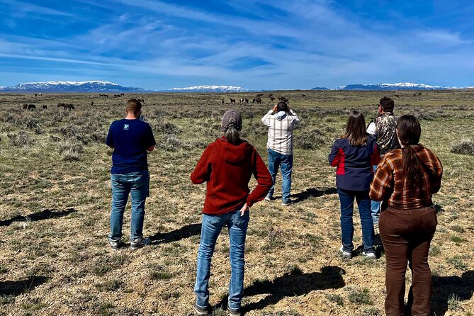 Red Canyon Wild Mustang Safari Truck Tours In Cody Wyoming! - Frequently Asked Questions