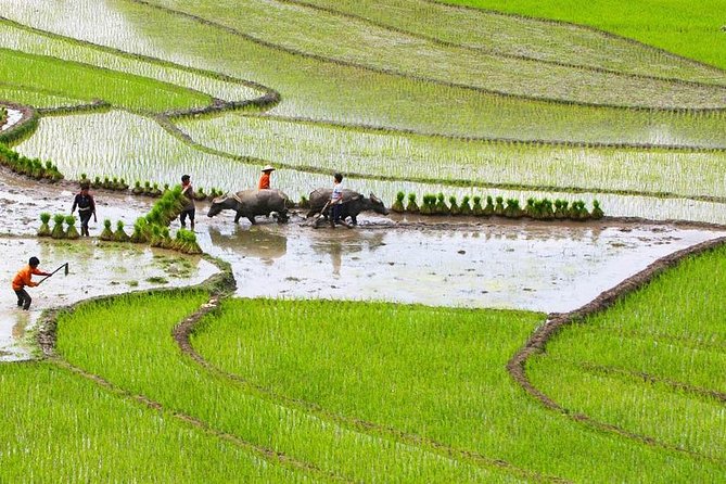 Red Dao Village Trek and Herbal Bath - Engaging With Local Communities