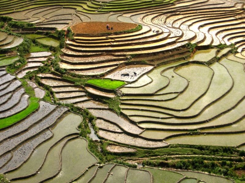 Red Dao Village Trek and Herbal Bath - Inclusions