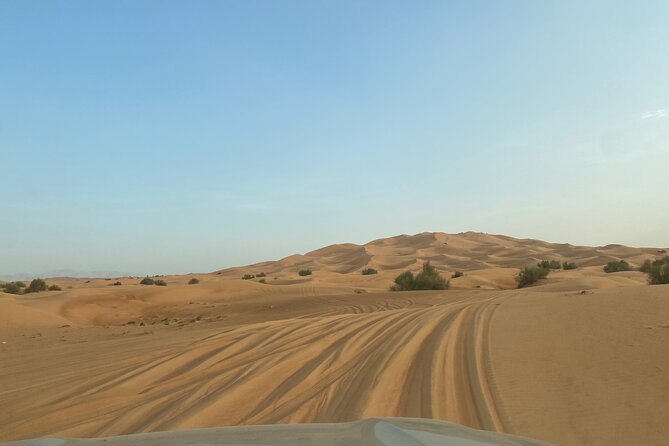 Red Dune 4x4 Desert Safari With Sand Boarding & Camel (4 Hr) - Camel Riding Highlight
