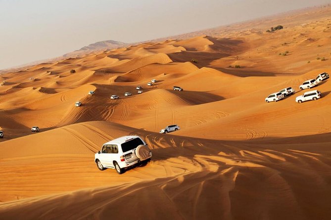 Red Dune Evening Desert Safari With BBQ Dinner - Thrilling Sandboarding Down Dunes
