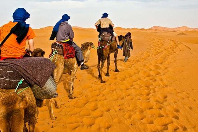 Red Dunes Desert Safari Plus ATV Quad Bike Ride (Land Cruiser) - Key Points