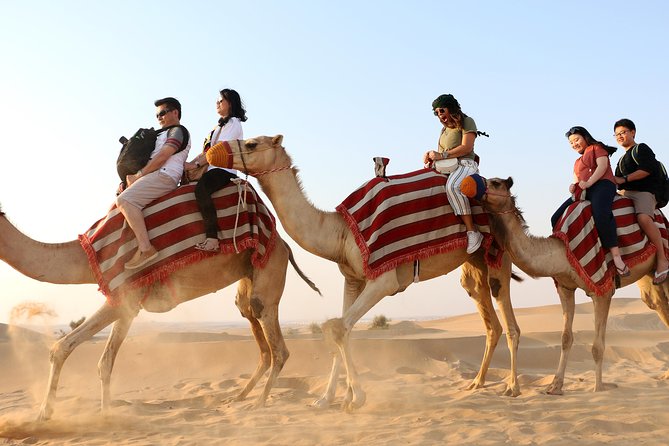 Red Dunes Quad Bike, Camel Ride+Sand Surfing, BBQ Dinner @ VIP CAMP - Customer Reviews