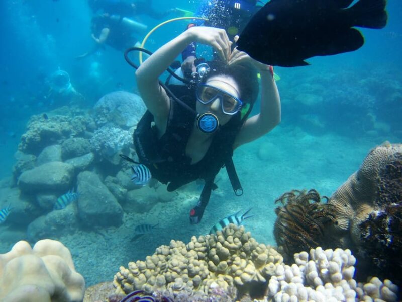 Red River Tour - Scuba Diving At Roi Island Phu Quoc - Included and Excluded Items