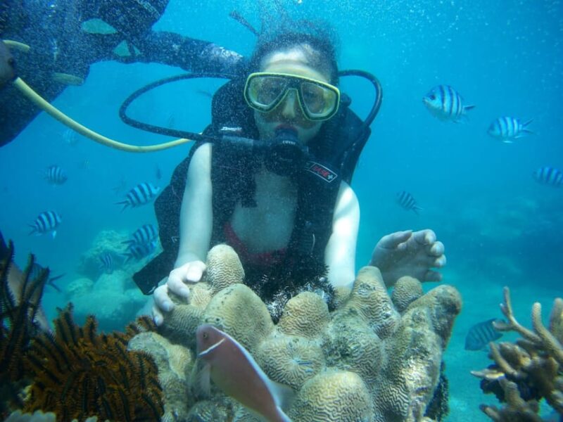 Red River Tour - Scuba Diving At Roi Island Phu Quoc - Restrictions and Recommendations