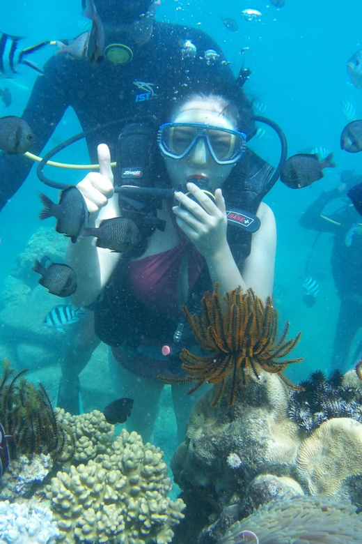 Red River Tour - Scuba Diving At Roi Island Phu Quoc - Professional Diving Guide