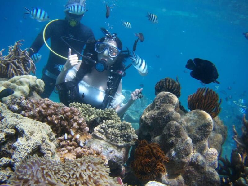 Red River Tour - Scuba Diving At Roi Island Phu Quoc - Water Sports at Ocean World
