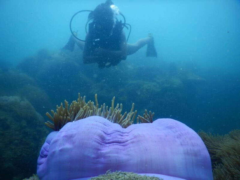 [Red River Tours] Luxury Professional Scuba Diving - Key Points