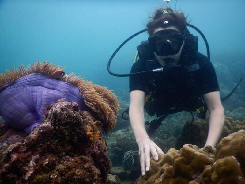 [Red River Tours] Luxury Professional Scuba Diving - Frequently Asked Questions