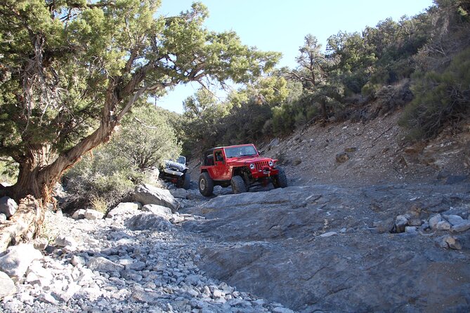 Red Rock Canyon Half Day Jeep Tour Offroad Adventure - Pricing, Reviews, and Cancellation Policy