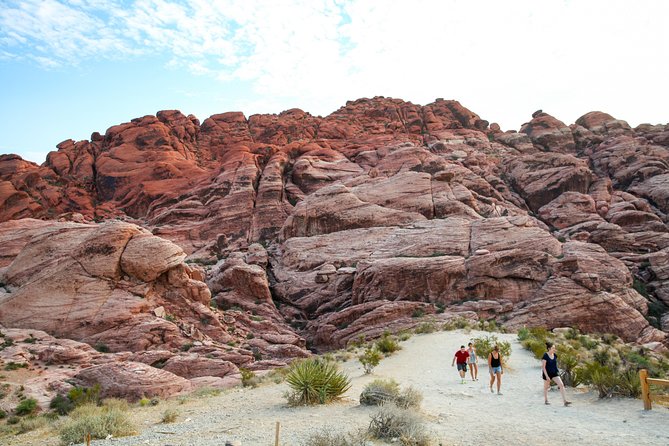 Red Rock Canyon Hiking Tour With Transport From Las Vegas - Suitability and Accessibility