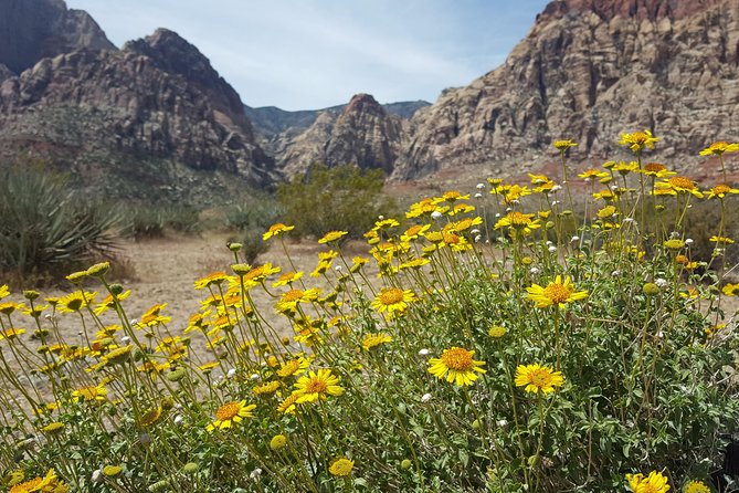 Red Rock Canyon Red E Bike Half-Day Tour - Stunning Red Rock Scenery