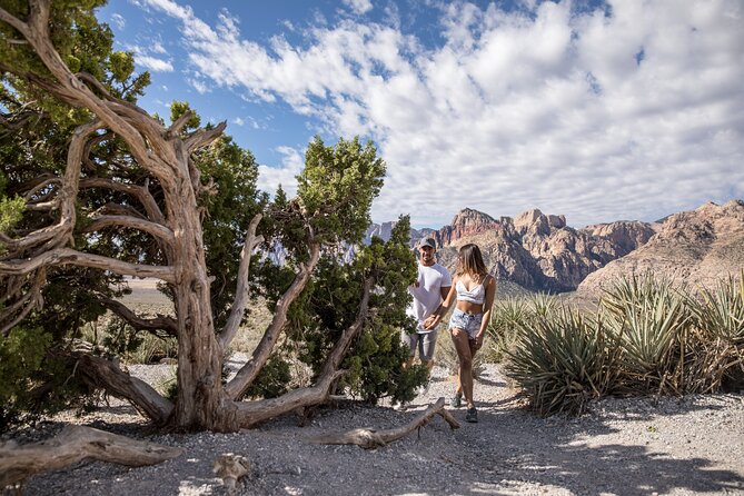 Red Rock Canyon Scooter Tour From Las Vegas - Requirements and Restrictions
