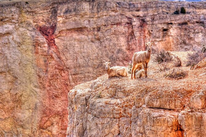 Red Rock Canyon Self-Guided Driving Audio Tour - Additional Recommendations and Tips