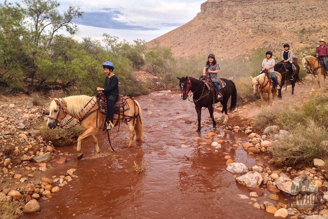 Red Rock Canyon Sunset Horseback Ride and Barbeque Dinner - Entertainment Under the Stars
