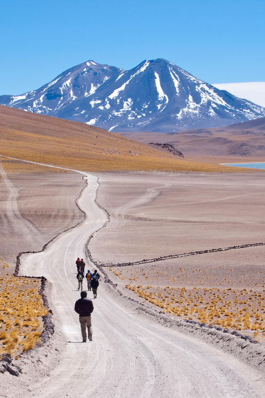 Red Rocks, Altiplanic Lagoon + Chaxa Reserve: Full-Day Tour - Booking Details