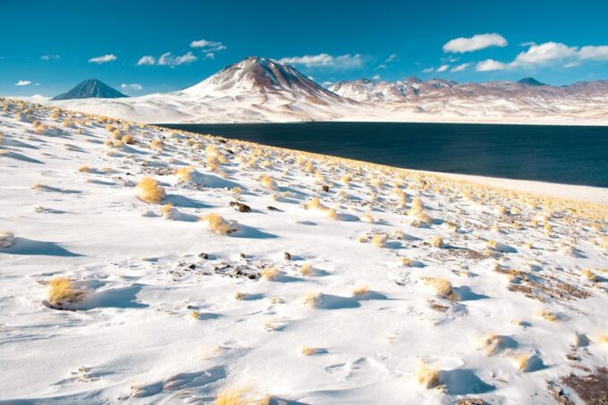 Red Rocks, Altiplanic Lagoon + Chaxa Reserve: Full-Day Tour - Transportation and Pickup