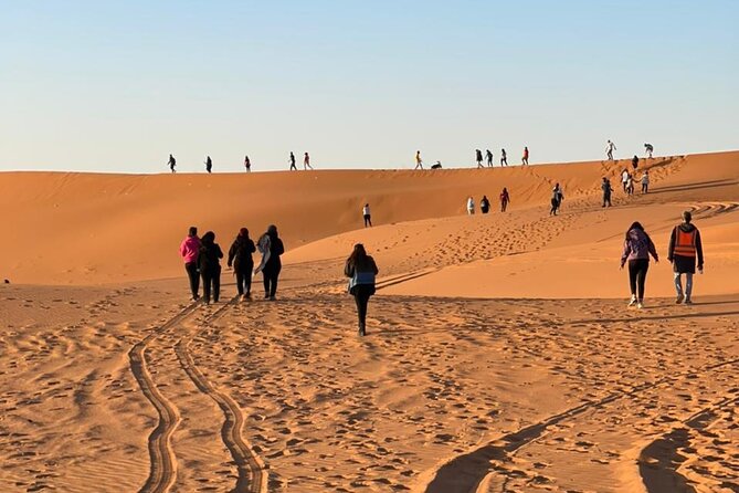 Red Sand Dunes Tour - Activities Offered