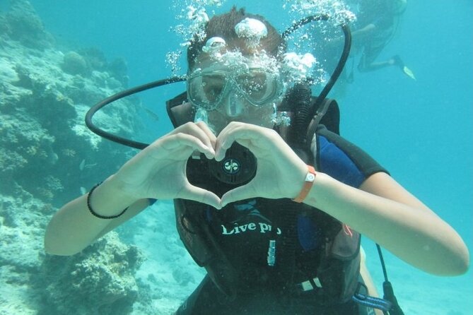 Red Sea Diving Trip From Hurghada: Beginner to Advanced Divers - Additional Considerations
