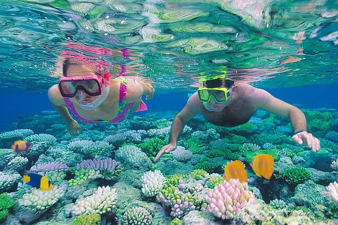 Red Sea Snorkeling From Hurghada - See Exotic Marine Life