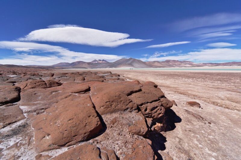 Red Stones, Altiplanic Lagoons & Salar Full-Day Tour - Inclusions