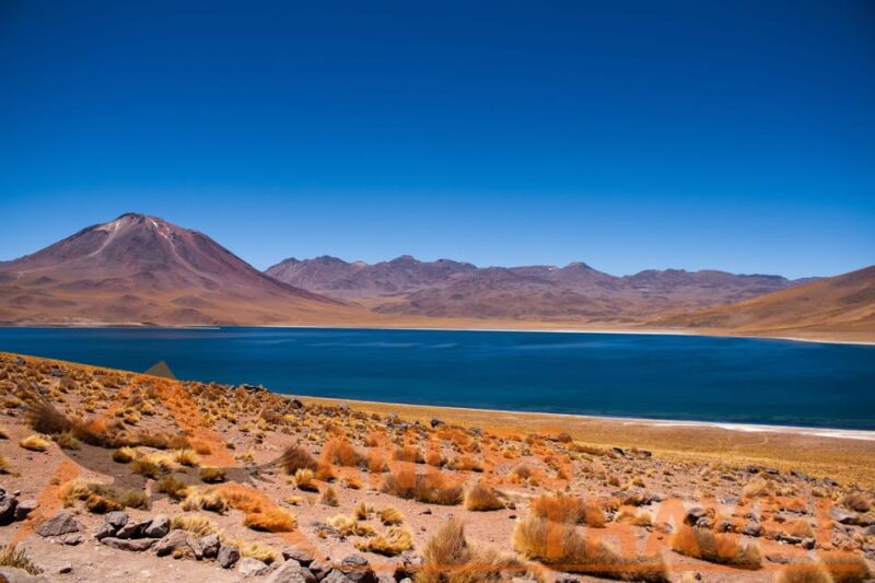 Red Stones, Altiplanic Lagoons - Itinerary Highlights