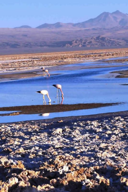 Red Stones, Salar De Atacama and Lakes of the High Plateau - Scenic Locations