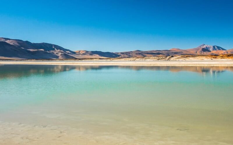 Red Stones Tour + Altiplanic Lagoons + Chaxa Lagoon - Key Points