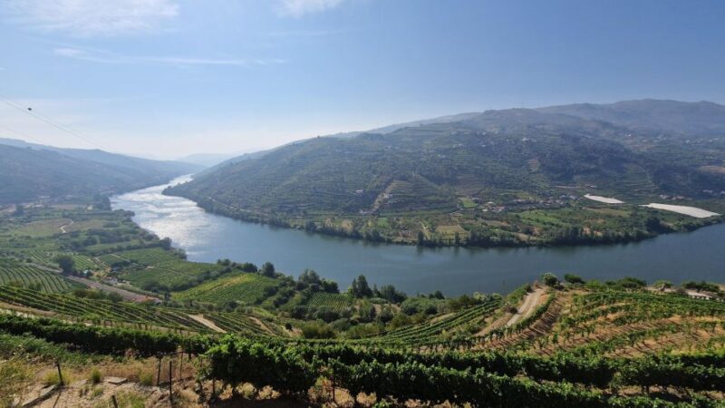 Reduced Mobility Visit the Douro Valley From Porto - Key Points