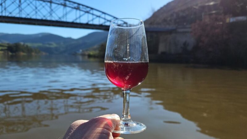 Reduced Mobility Visit the Douro Valley From Porto - Itinerary Highlights