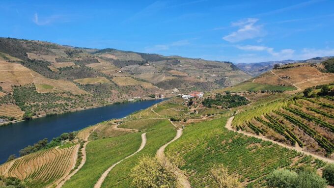 Reduced Mobility Visit the Douro Valley From Porto - Frequently Asked Questions