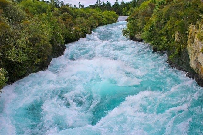 Redwood Forest , Blue Springs & Huka Falls Day Tour From Auckland - Pickup Information