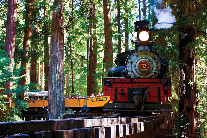 Redwood Forest, Santa Cruz Harbor 1-Day Trip From San Francisco - Key Points