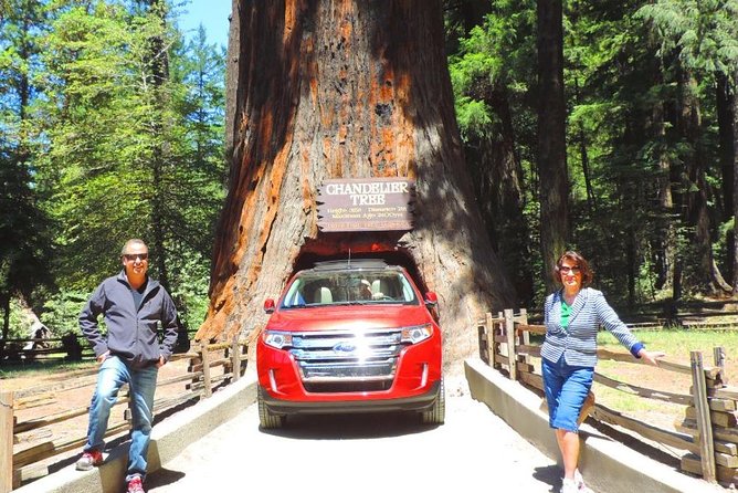 Redwood National Park Tour 2-Day Private Tour Package Hotel Included - Key Points