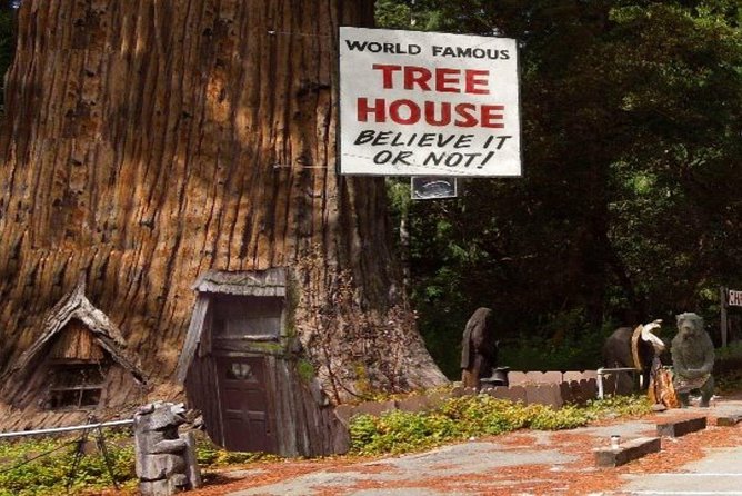 Redwood National Park Tour 2-Day Private Tour Package Hotel Included - Pickup and Start Time Details