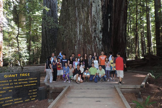 Redwood National Park Tour 2-Day Private Tour Package Hotel Included - Physical Fitness Requirements