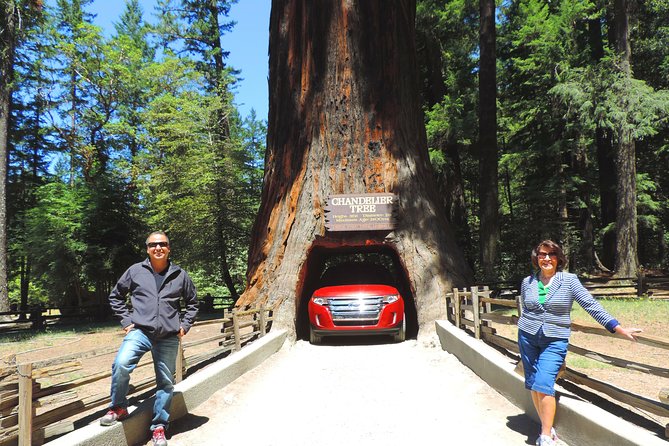 Redwood National Park Tour 2-Day Private Tour Package Hotel Included - Reviews and Ratings