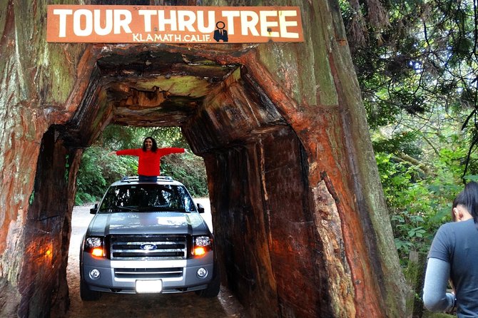 Redwood National Park Tour 3-Day Private Tour Package Hotel Included - Pickup and Start Details