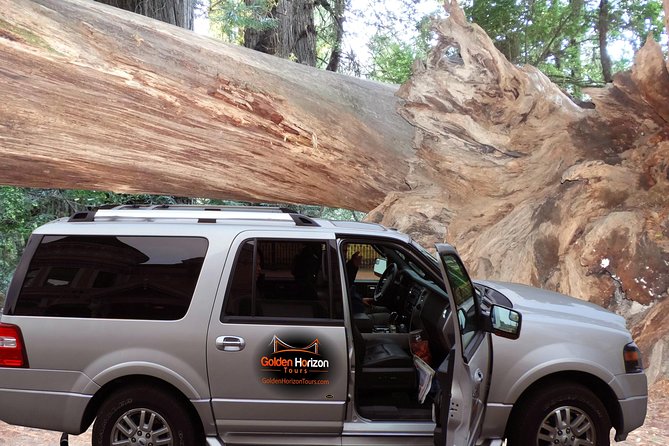 Redwood National Park Tour 3-Day Private Tour Package Hotel Included - Accessibility Considerations