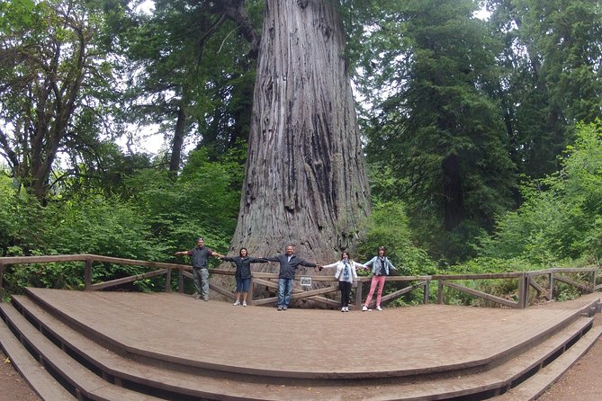 Redwood National Park Tour 3-Day Private Tour Package Hotel Included - Booking Information