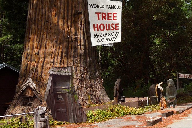 Redwood National Park Tour 3-Day Private Tour Package Hotel Included - Why Choose This Tour
