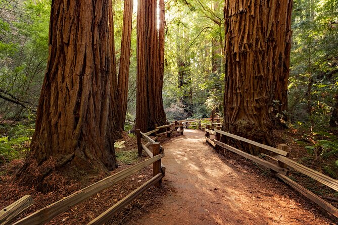 Redwood Retreat: Tour to Muir Woods From San Francisco - Transportation and Pickup Options