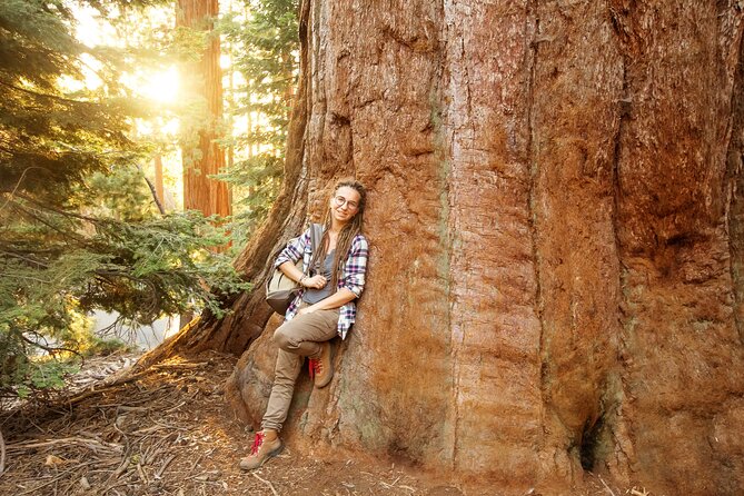 Redwood Retreat: Tour to Muir Woods From San Francisco - Accessibility and Participation