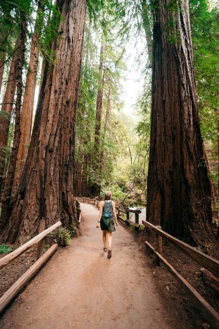 Redwoods Full Day Private Tour and Hike - Booking Information